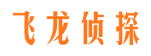 陇西侦探